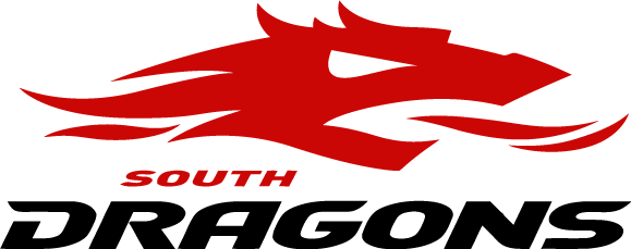 South Dragons 2006-2009 Primary Logo iron on heat transfer